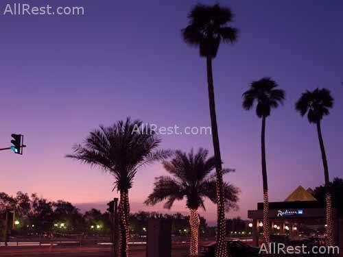 Radisson SAS Hotel Dubai Deira Creek 3